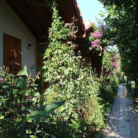 Blue Paradise Guest house *