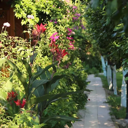 Gasthof Blue Paradise Çıralı